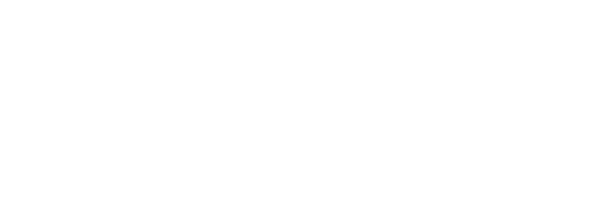 Adiger | Software a medida e integraciones con IA para PYMEs