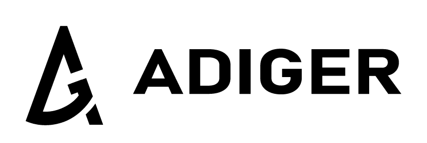 Adiger | Software a medida e integraciones con IA para PYMEs